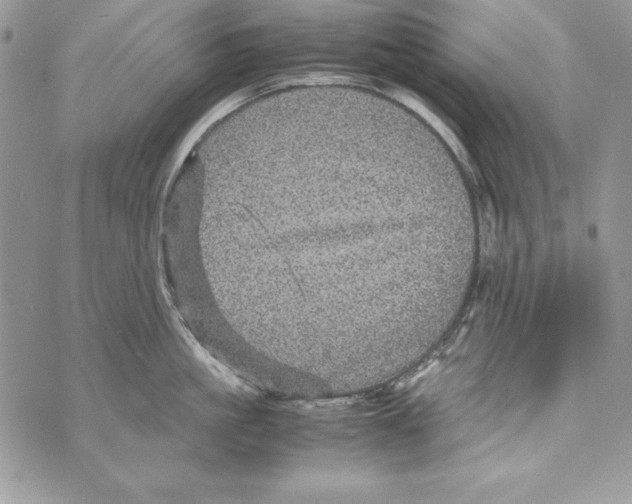 X0000070410861200607072307