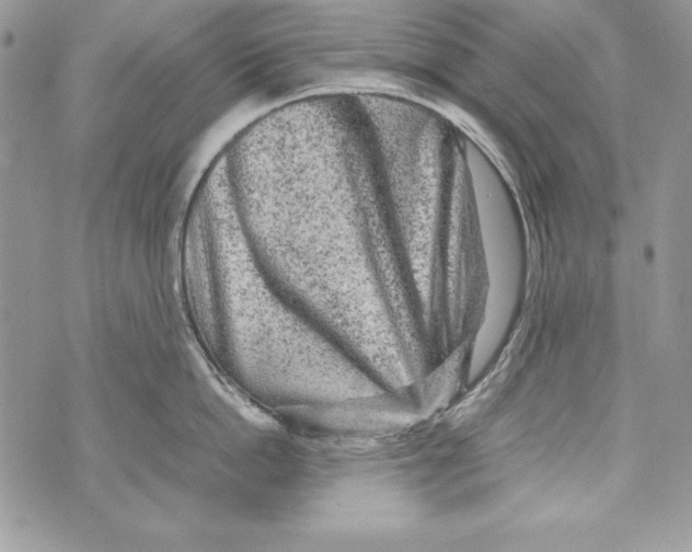 X0000070410862200607072307