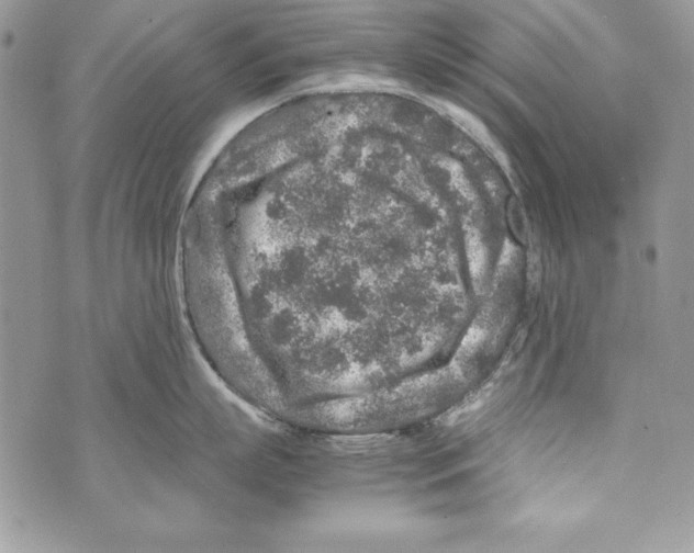 X0000070410863200607072307