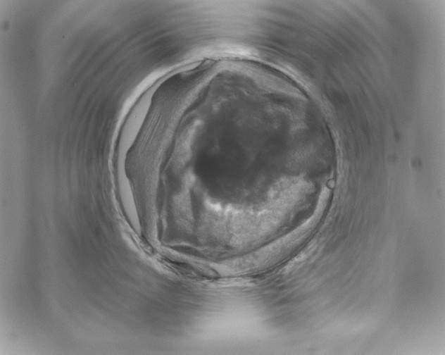 X0000070410864200607072307