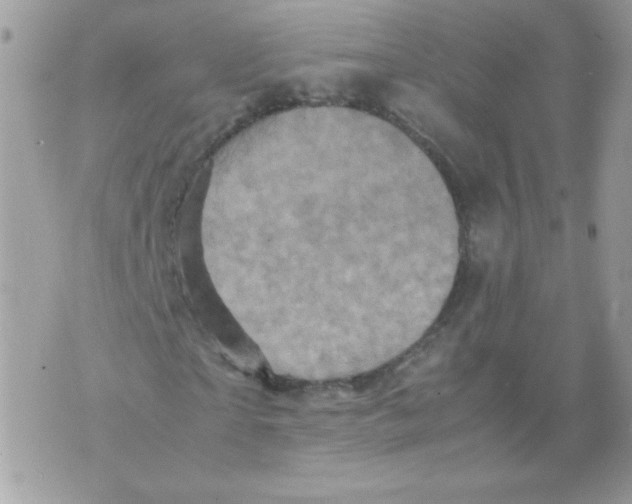 X0000070410865200607072307