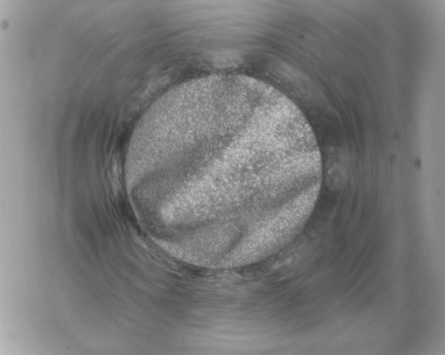 X0000070410866200607072307