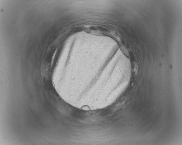 X0000070410867200607072307