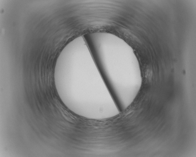 X0000070410868200607072307