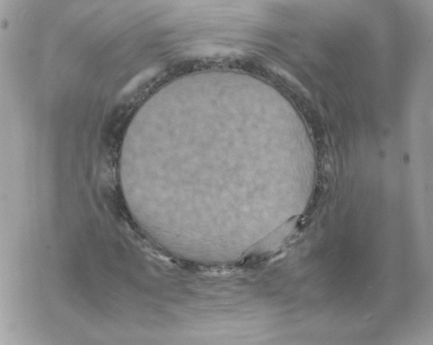 X0000070410869200607072307