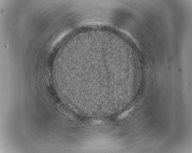 X0000070410871200607072306