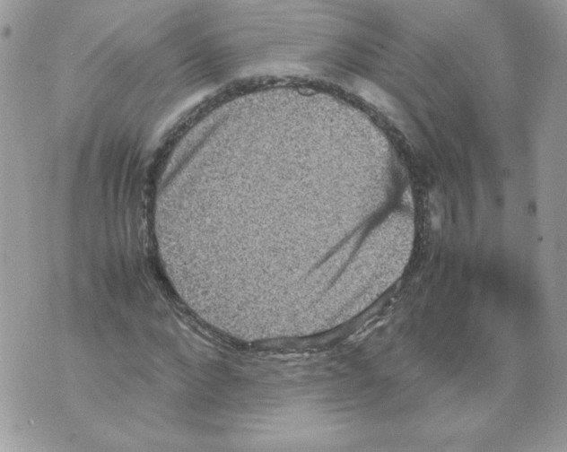 X0000070410872200607072306