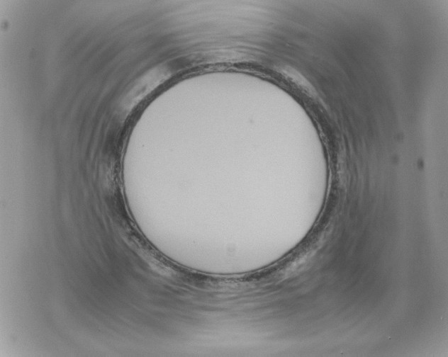 X0000070410873200607072306