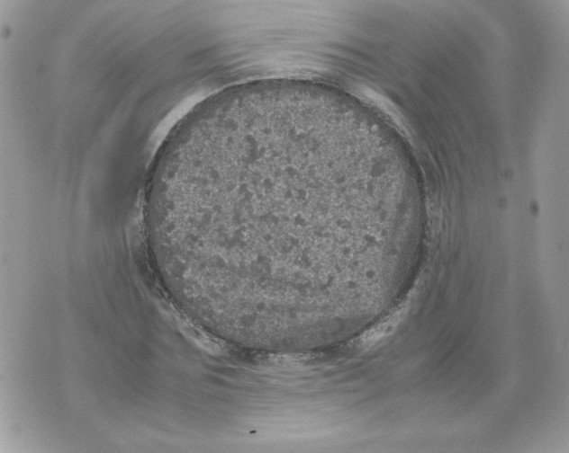 X0000070410875200607072306