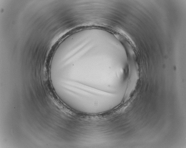 X0000070410876200607072306