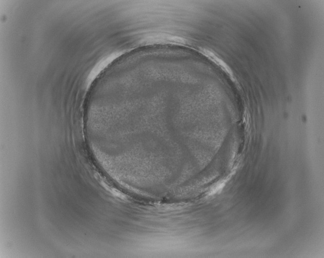 X0000070410877200607072306