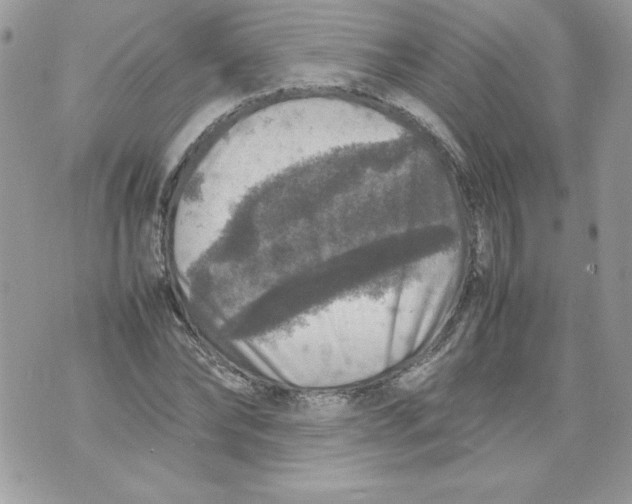 X0000070410878200607072306