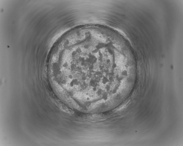 X0000070410879200607072306