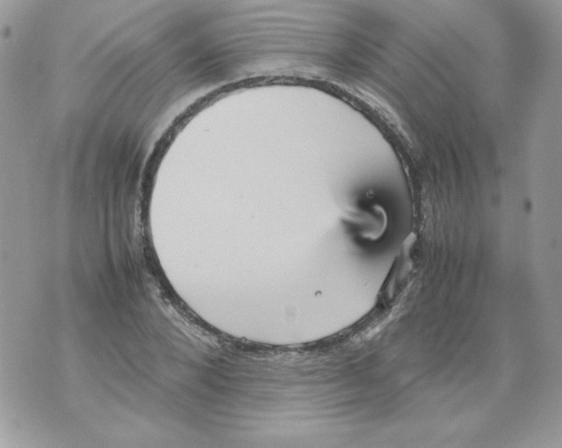 X0000070410880200607072306