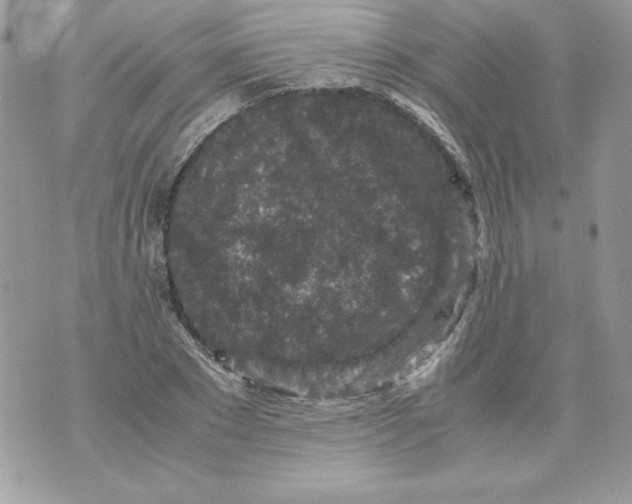 X0000070410881200607072306