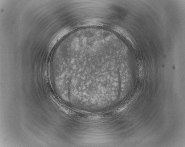 X0000070410882200607072306