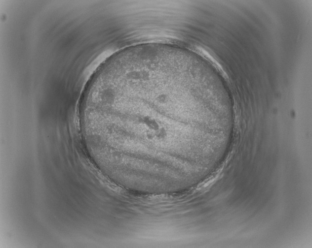 X0000070410883200607072306