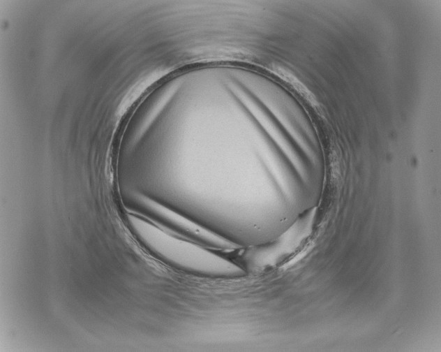 X0000070410885200607072306