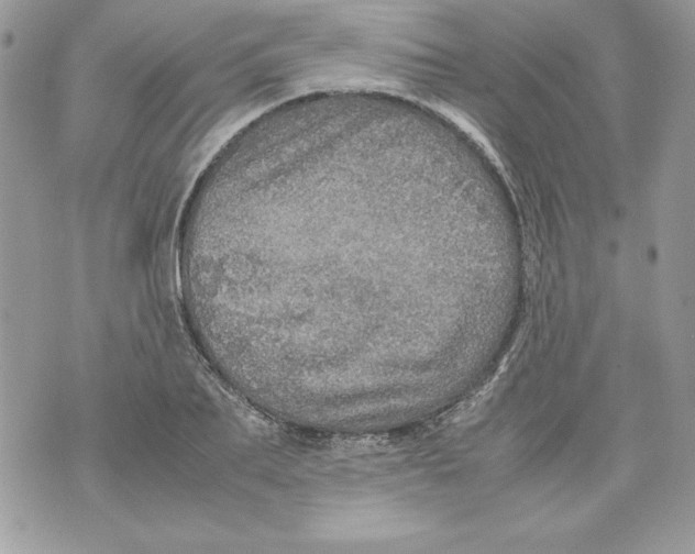 X0000070410887200607072306