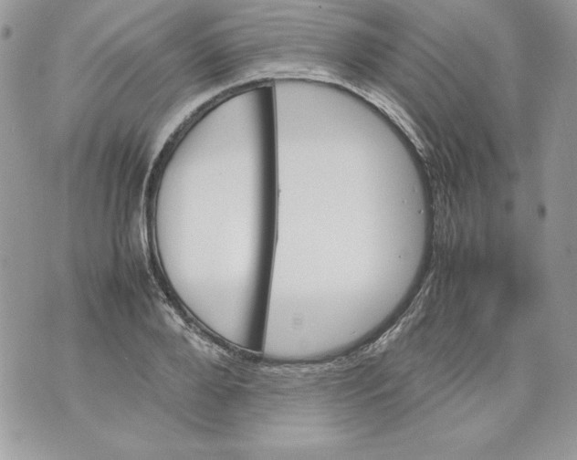 X0000070410888200607072306