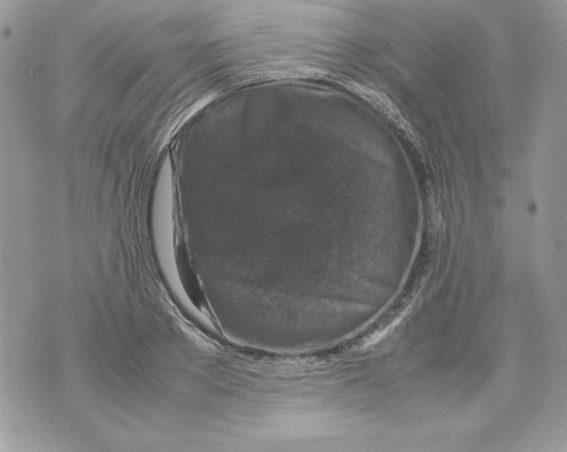 X0000070410889200607072306