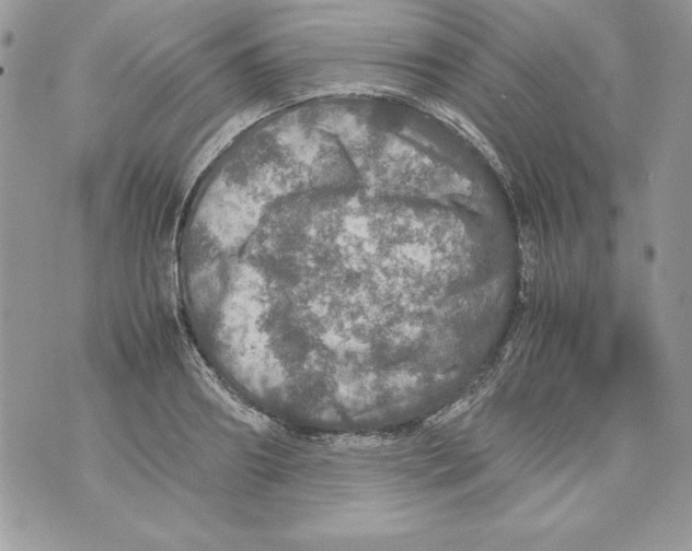 X0000070410890200607072306