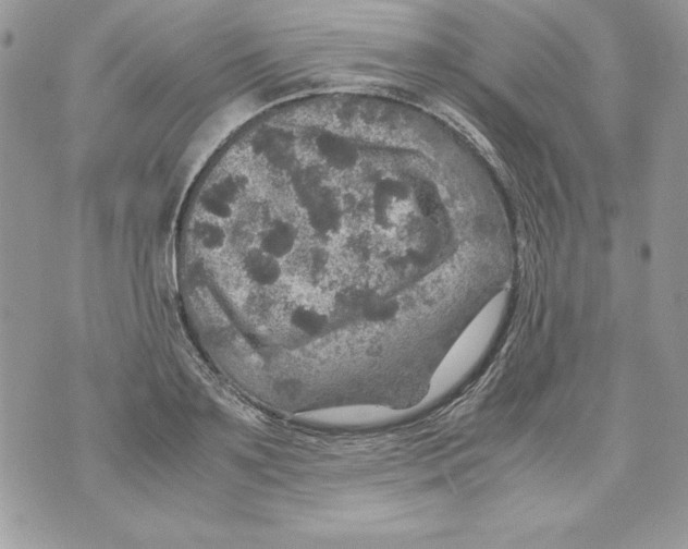 X0000070410891200607072306