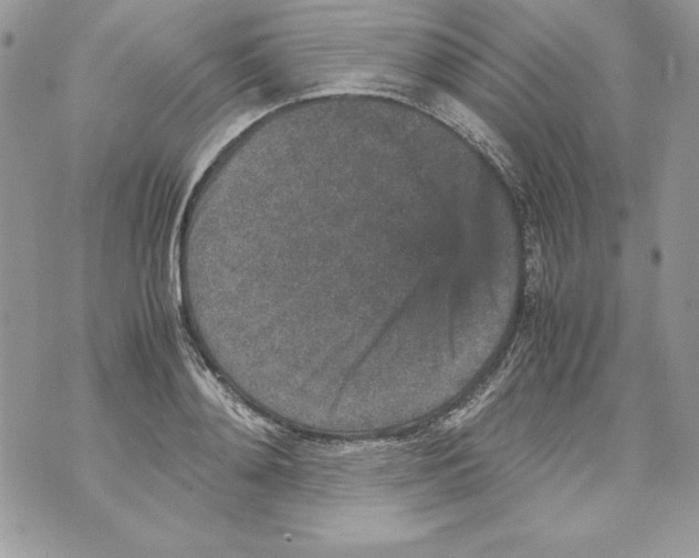 X0000070410892200607072306