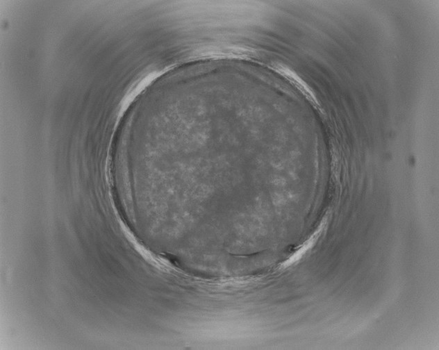 X0000070410893200607072306