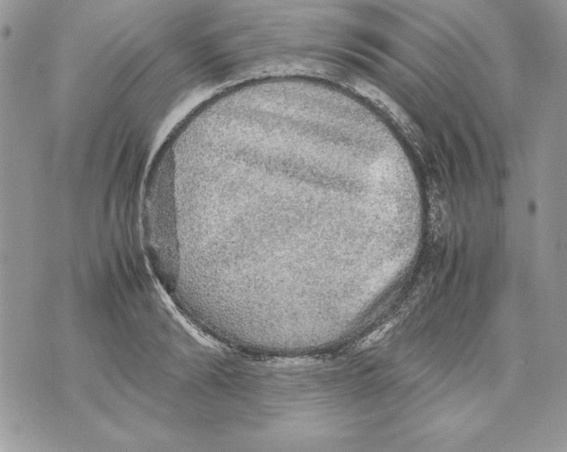 X0000070410894200607072306