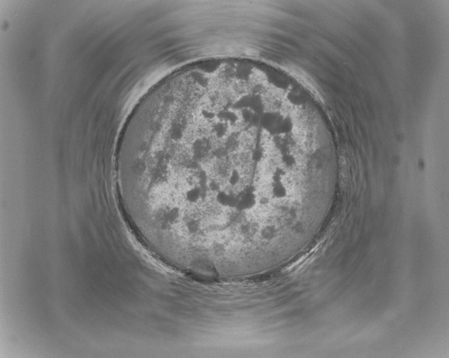 X0000070410895200607072306