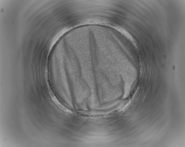 X0000070410896200607072306