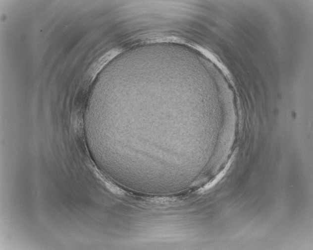 X0000070410897200607072306