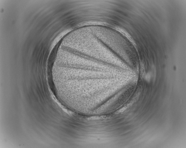 X0000070410898200607072306