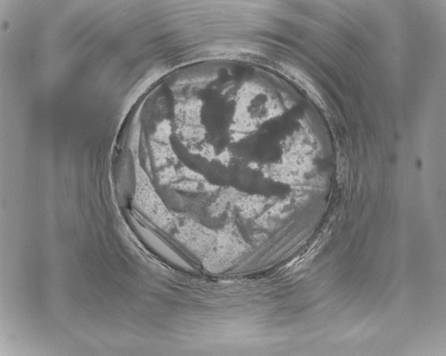 X0000070410899200607072306