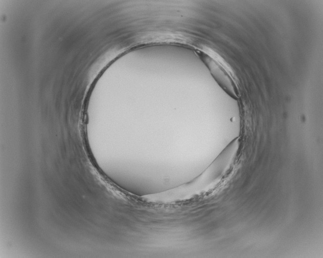 X0000070410901200607072306