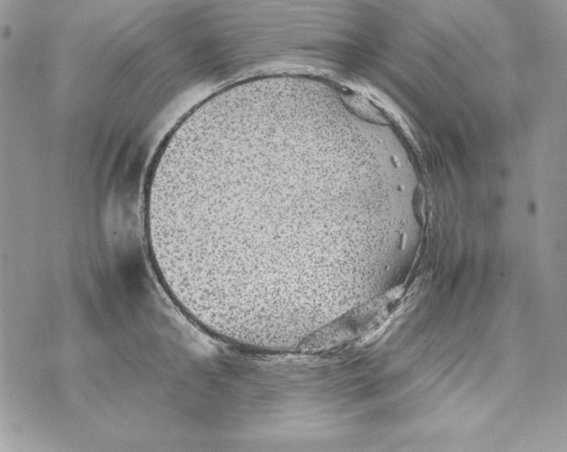 X0000070410902200607072306