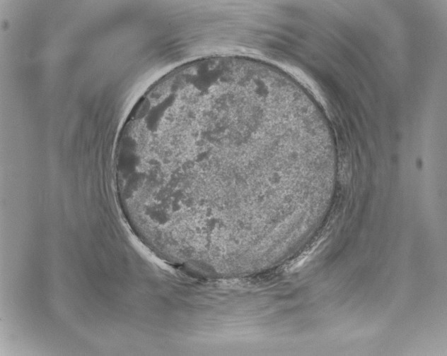 X0000070410903200607072306