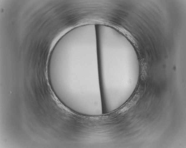 X0000070410904200607072306