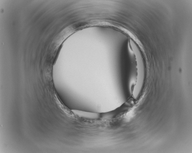 X0000070410905200607072306