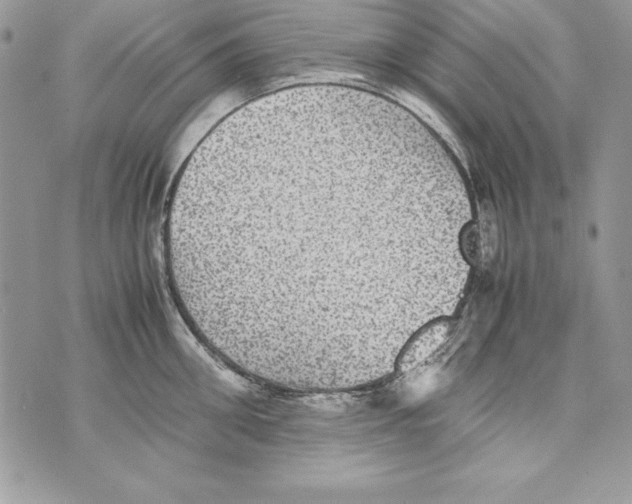 X0000070410906200607072306