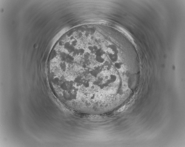 X0000070410907200607072306