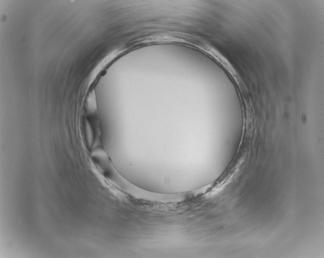 X0000070410909200607072306