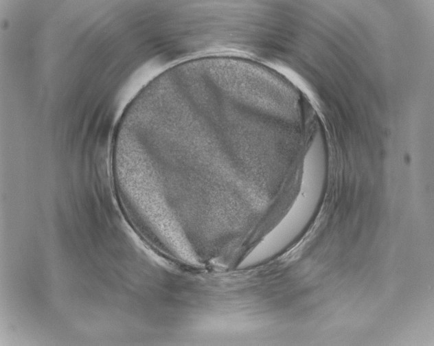 X0000070410910200607072306