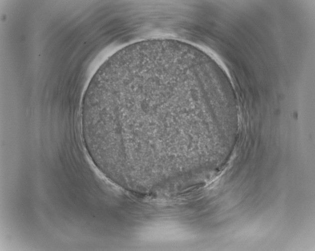 X0000070410911200607072306