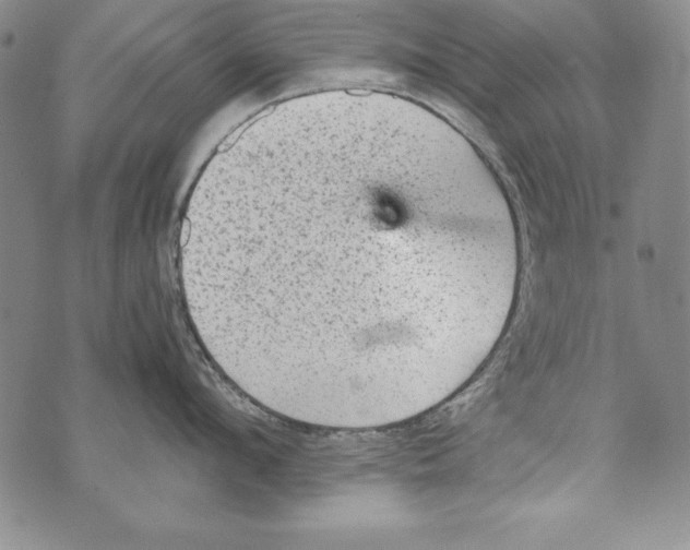 X0000070410912200607072306