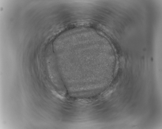 X0000070410913200607072305