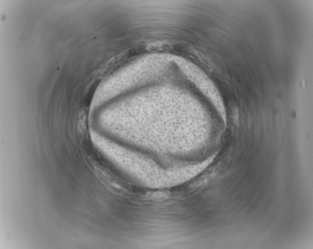 X0000070410914200607072305