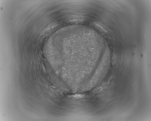 X0000070410917200607072305