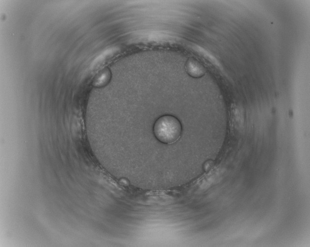 X0000070410918200607072305